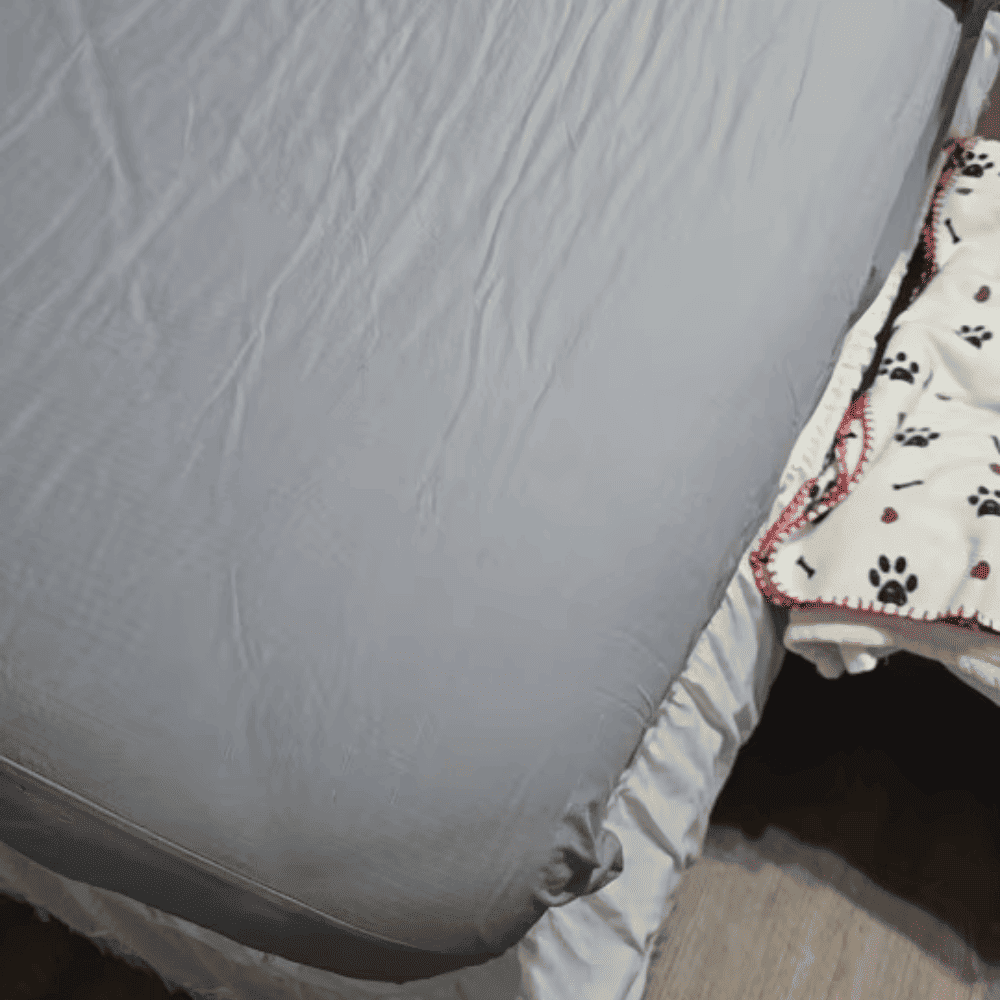Gray mattress cover on a bed with a paw print blanket partially visible.